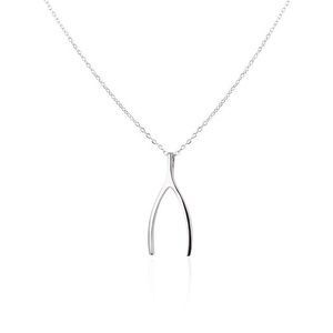 ⭐️3/$15⭐️ Sparkly Wishbone Extra Long Necklace